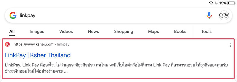 linkpay seo result